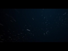 IP66 LED در فضای باز نور منظره 10W COB درخت باغ نور Spike