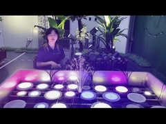 چراغ استخر LED PAR56