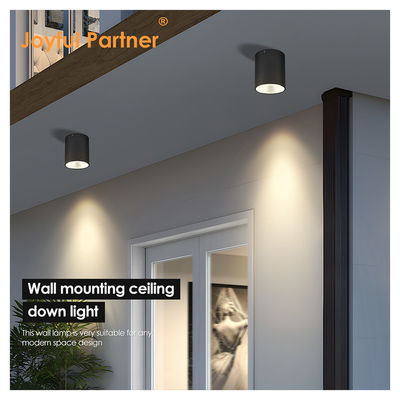 12W COB LED Downlight Cylinder Wall Mount Light طراحی کامپکت سطح ثابت برای استفاده در خارج از خانه