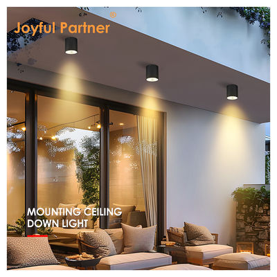 15W COB LED Downlight Cylinder Wall Mount Light طراحی کامپکت سطح ثابت برای فضای باز