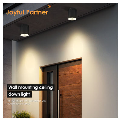 15W COB LED Downlight Cylinder Wall Mount Light طراحی کامپکت سطح ثابت برای فضای باز