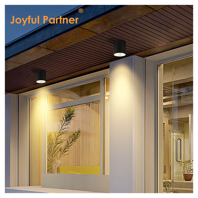 15W COB LED Downlight Cylinder Wall Mount Light طراحی کامپکت سطح ثابت برای فضای باز