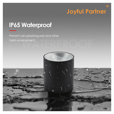 15W COB LED Downlight Cylinder Wall Mount Light طراحی کامپکت سطح ثابت برای فضای باز