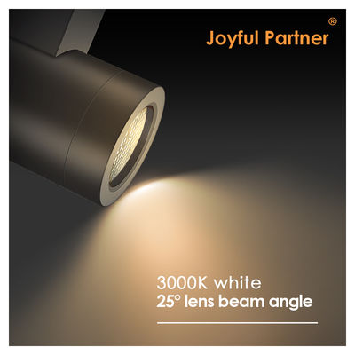 Cree COB 10W مدرن Ip65 نورپردازی ضد آب آلومینیوم LED در فضای باز دیوار چراغ